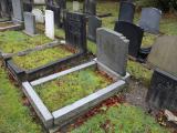 image of grave number 490009